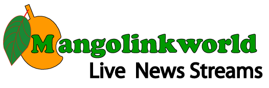 Logo Mangolink