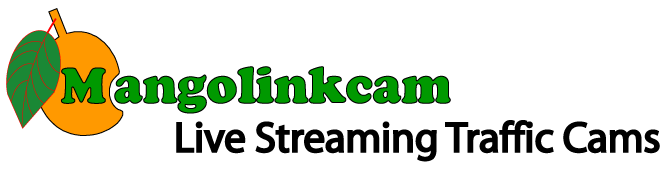 Logo Mangolink