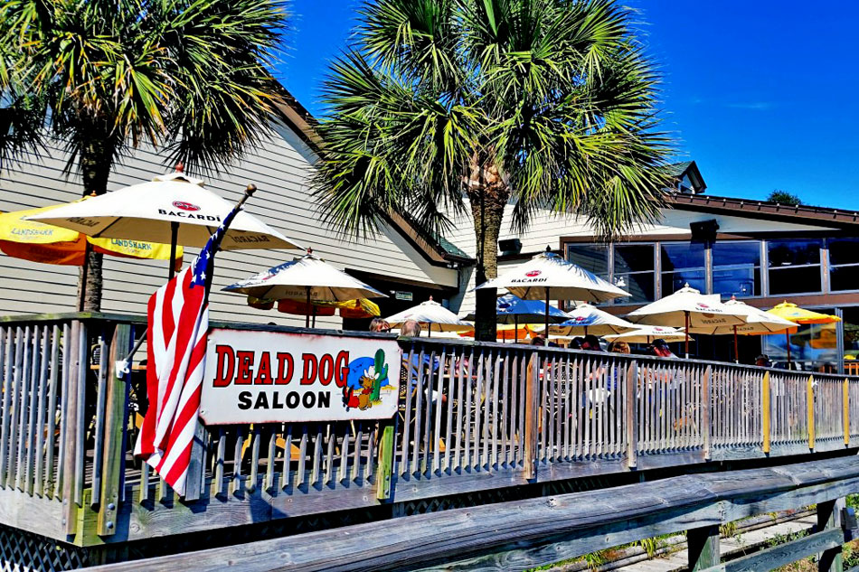 The Dead Dog Saloon in South Carolina                             
