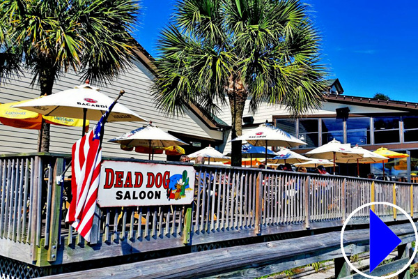 the dead dog saloon, south carolina