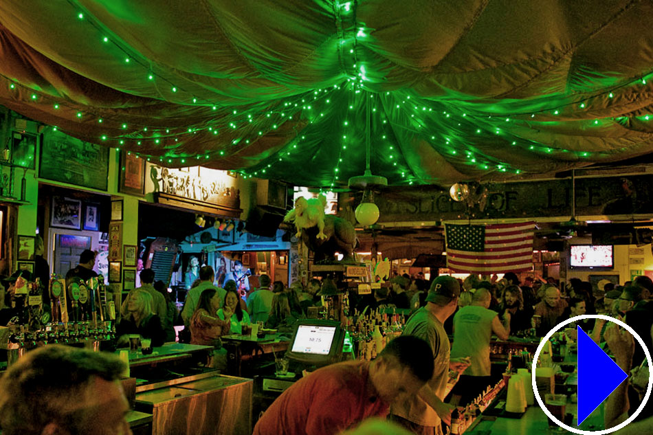 green parrot bar in key west