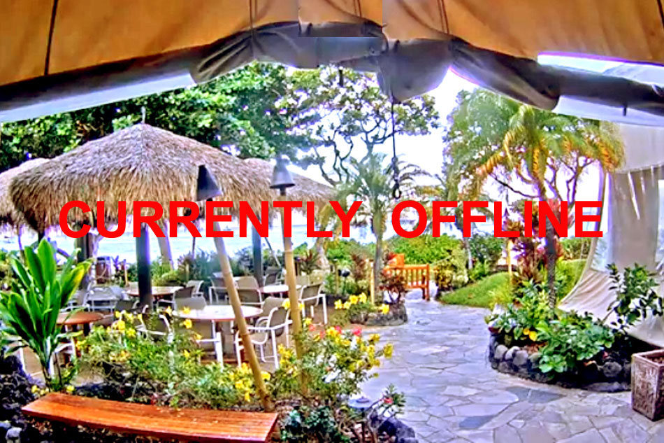 Live Webcam at the Hula Grill - Hawaii                            
