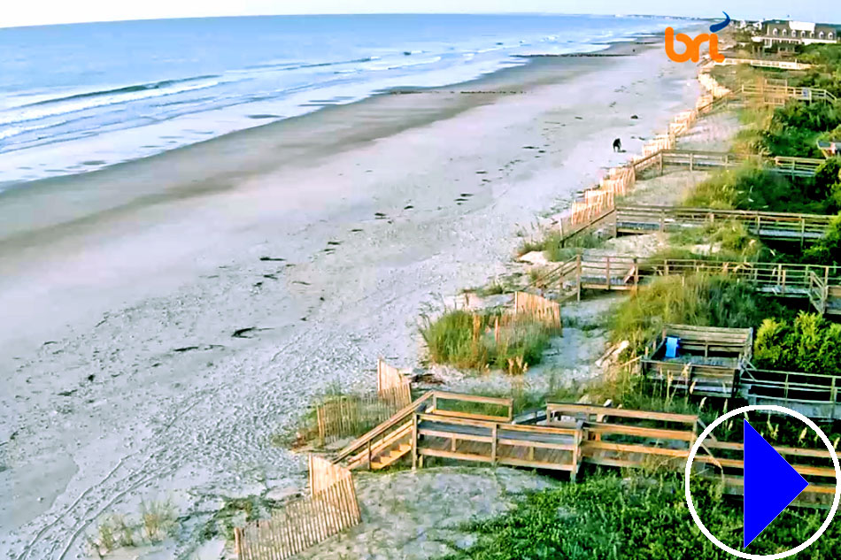 beach at pawleys island