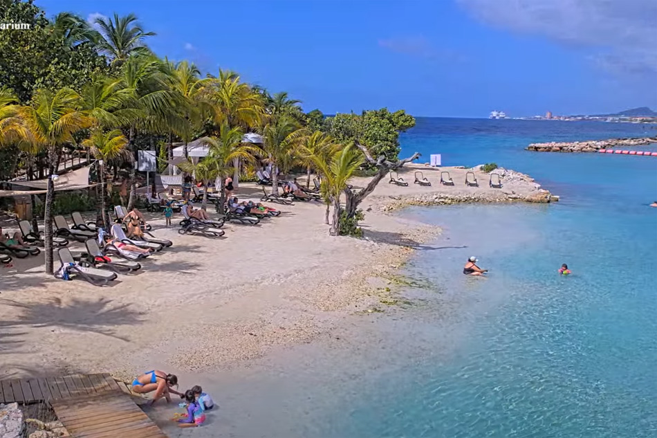 royal sea aquarium resort curacao                            
