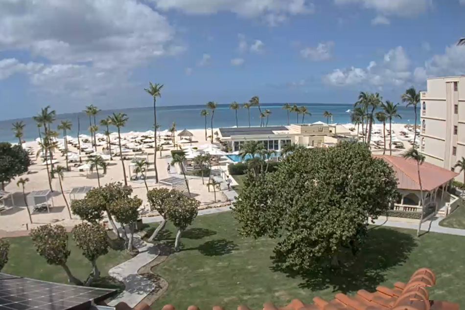 bucuti beach resort in aruba                          

