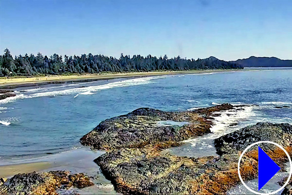 chesterman beach 