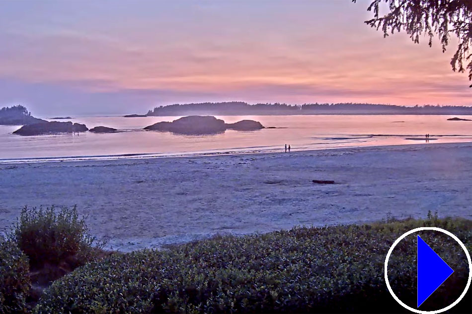mackenzie beach