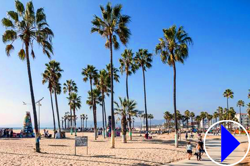 venice beach in california