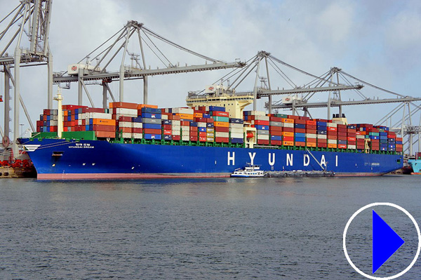 container ship in rotterdam port