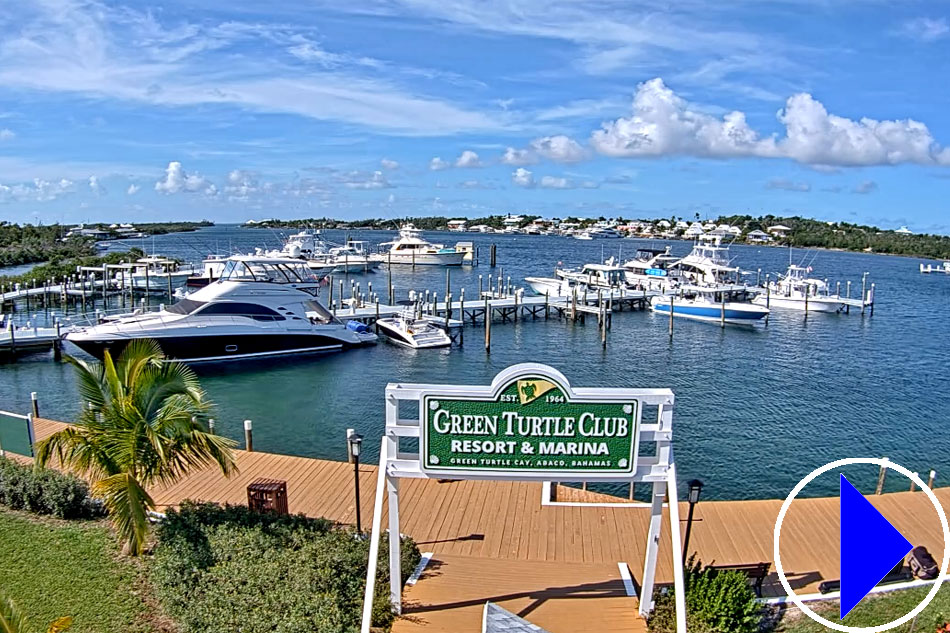 green turtle club resort and marina