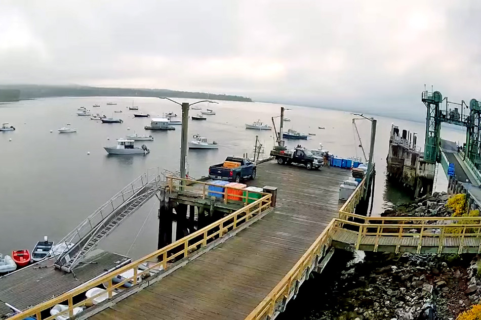 lincolnville harbour in maine