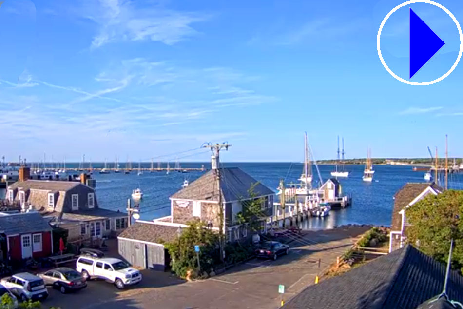 Vineyard Haven Harbour