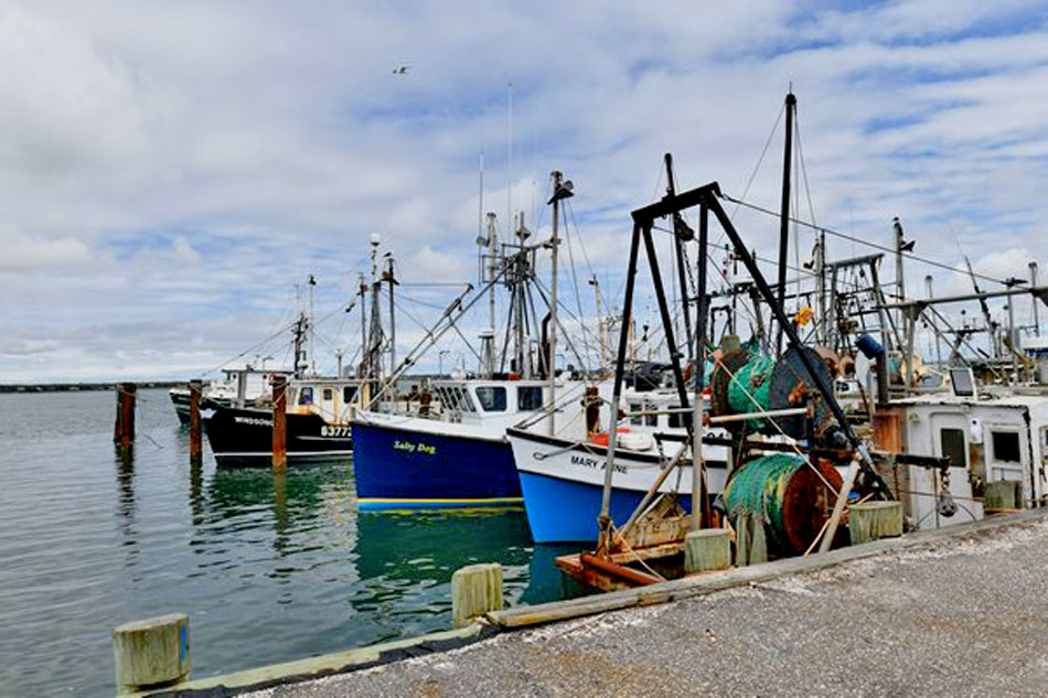  shinnecock fishing dock