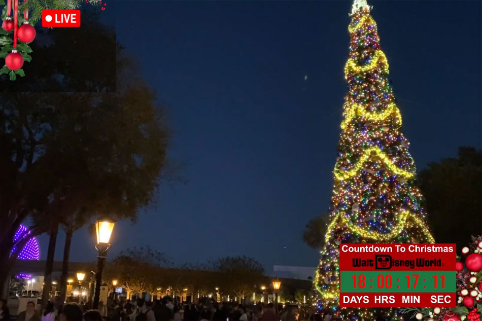 christmas tree with lights                       
