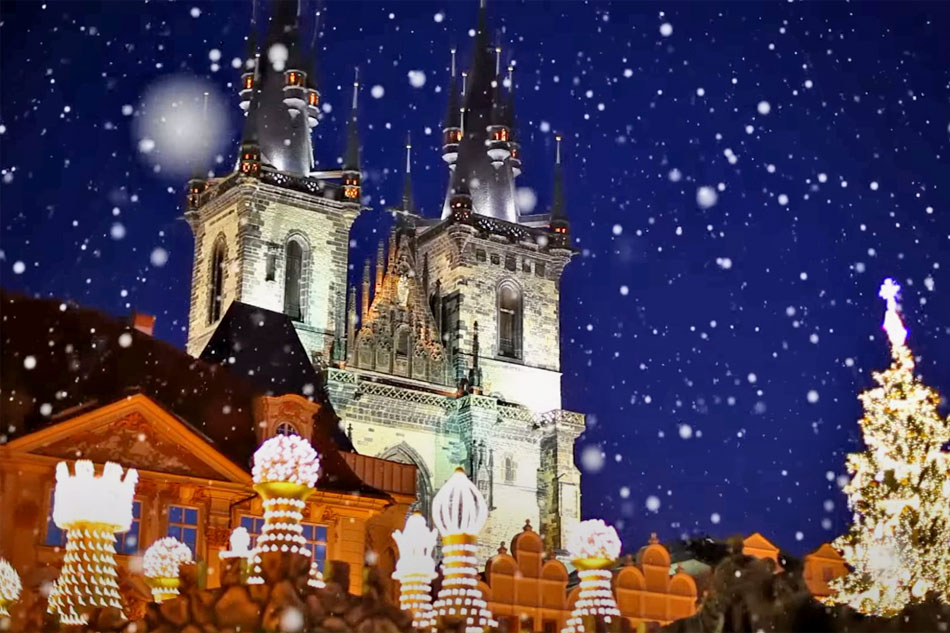 winter night scene                            
