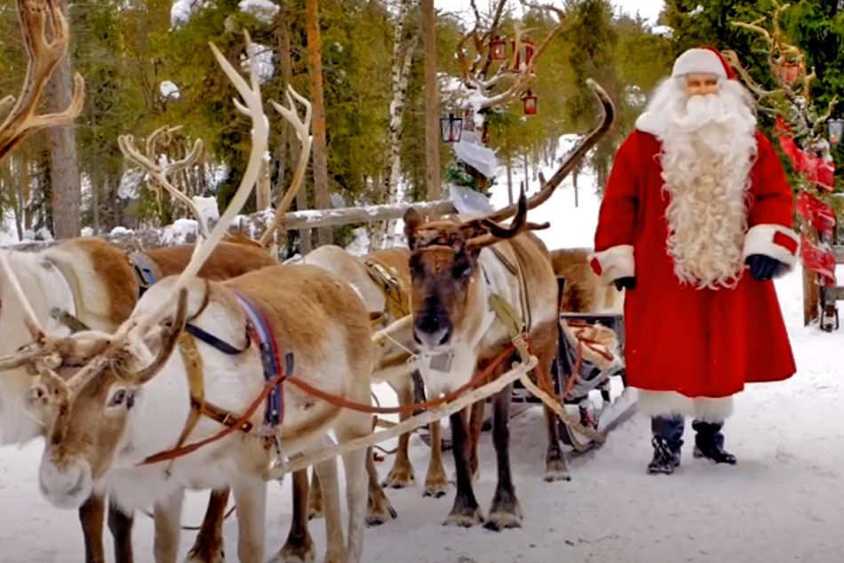 santa and his reindeer                            
