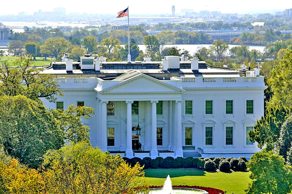 the white house                            
