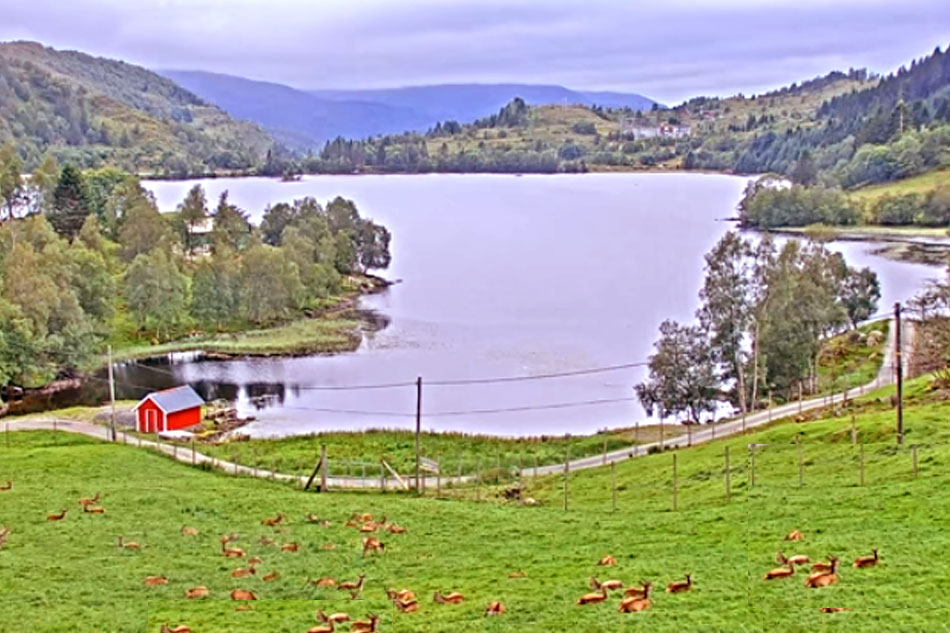 scenic view near bryggja                            
