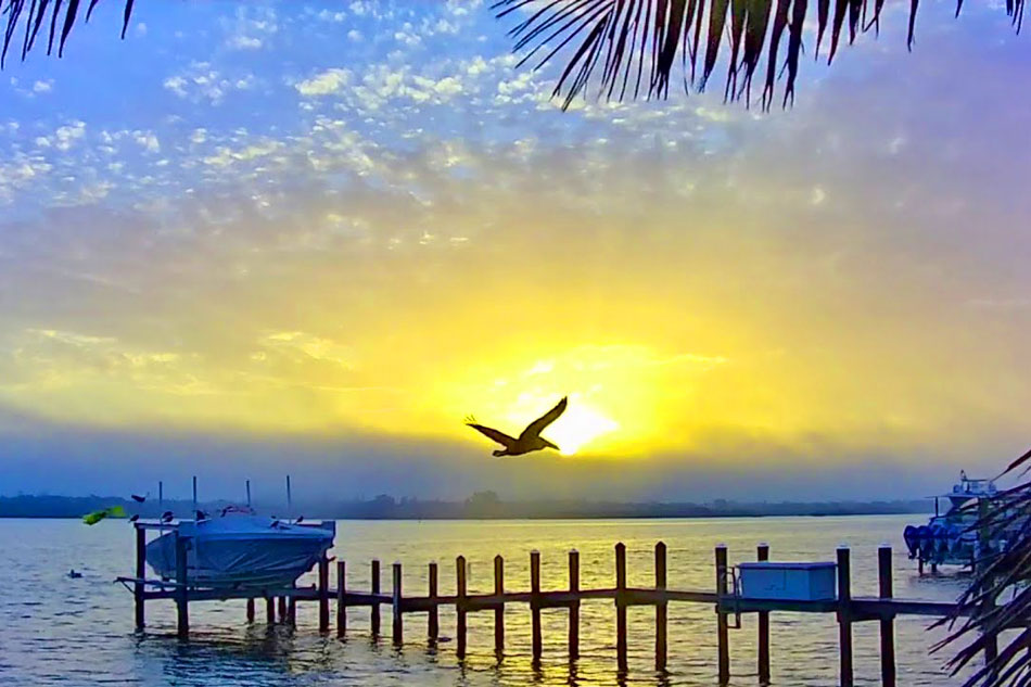 siesta key in florida 