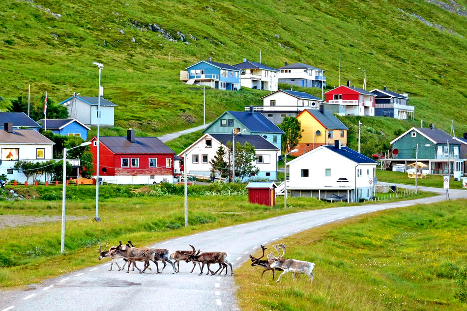 view of skarsvag village                            
