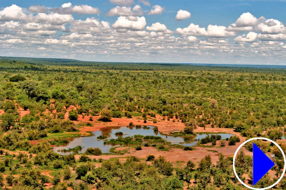 views at victoria falls safari lodge