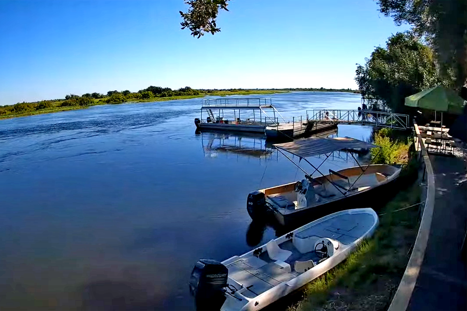view of the zambezi river                            
