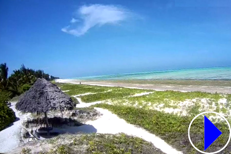 view of paje beach in zanzibar