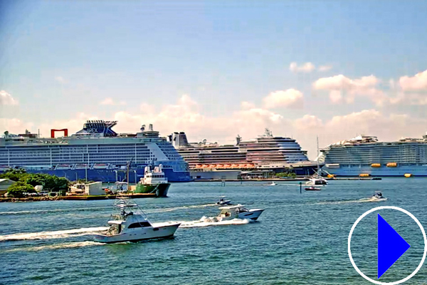 ships at port everglades