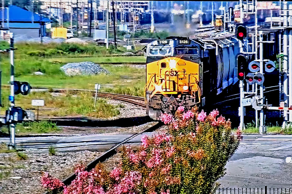 train at waycross in georgia