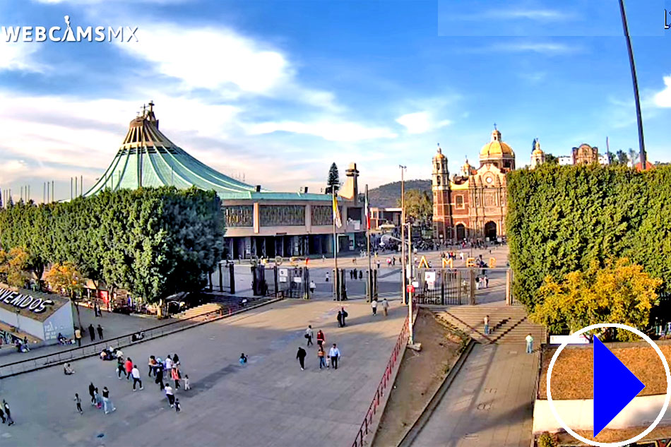 basilica de guadalupe