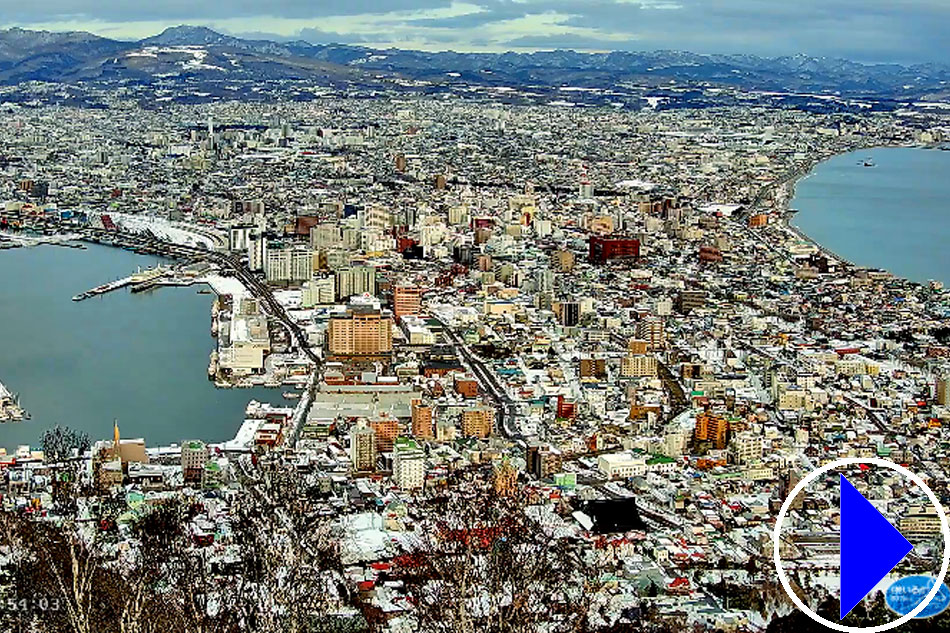 aerial view of hakodate