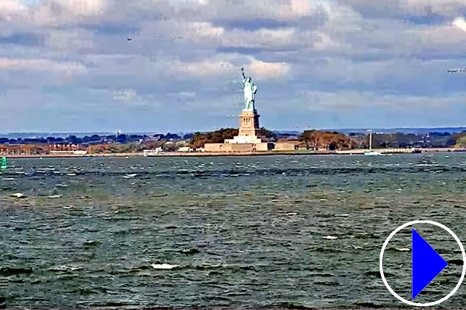 stature of liberty and new york harbour