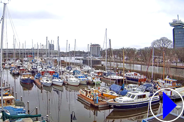 sixhaven marina in amsterdam
